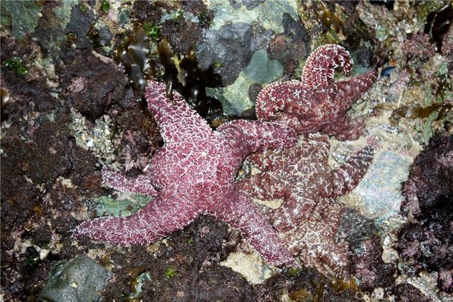 5961 Nugget, Huntington Beach, CA 92647