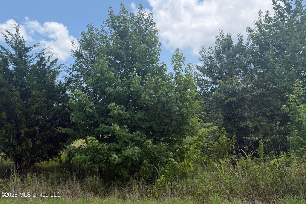 0 Kyle Road, Senatobia, MS 38668 — exterior
