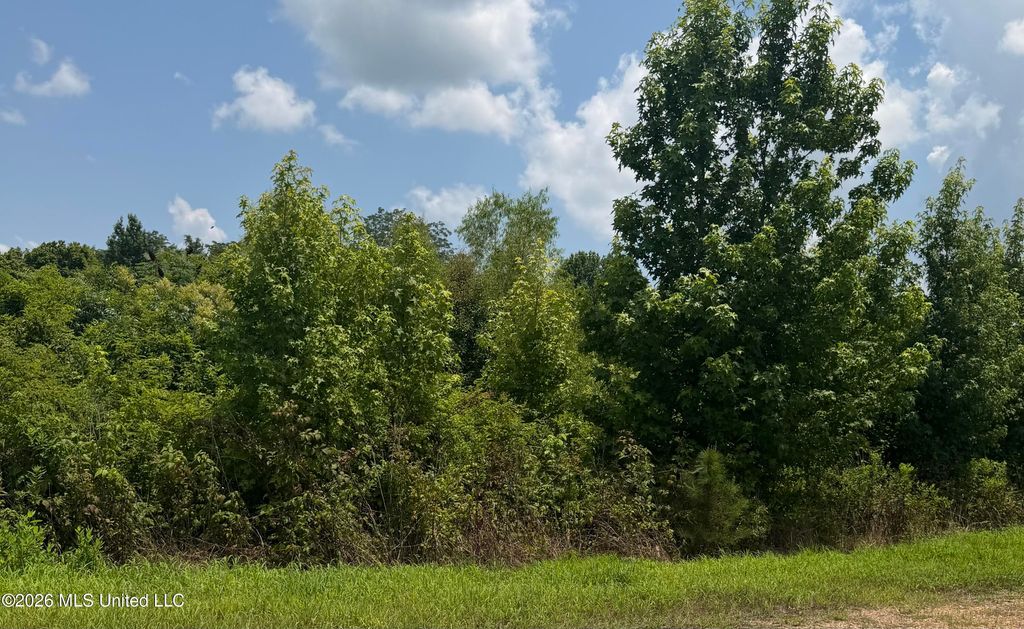 0 Kyle Road, Senatobia, MS 38668 — photo 2