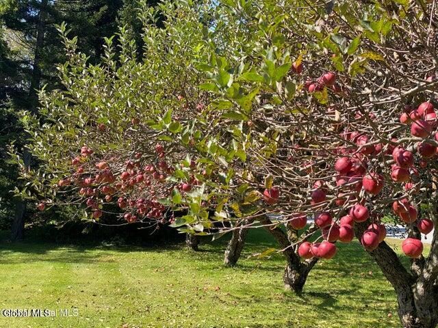 7 Western Avenue, Charlton, NY 12019