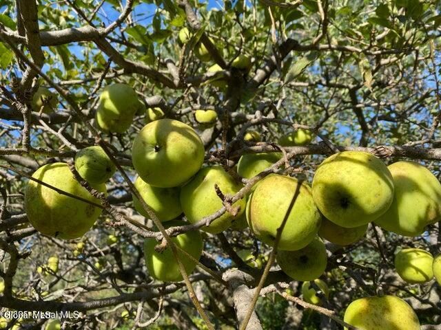 7 Western Avenue, Charlton, NY 12019