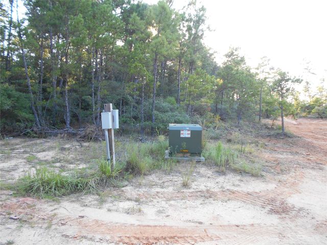 1460 Galahad Lp Road, Ivanhoe, TX 75979