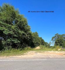.60 Acres Live Oak Church Rd, Crestview, FL 32539