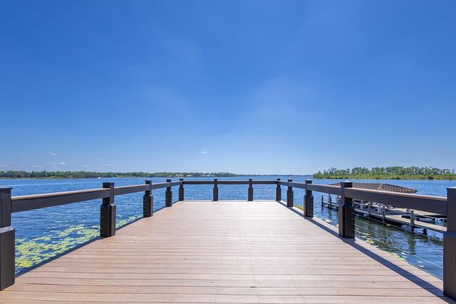 728 FOREST STREET, Windermere, FL 34786