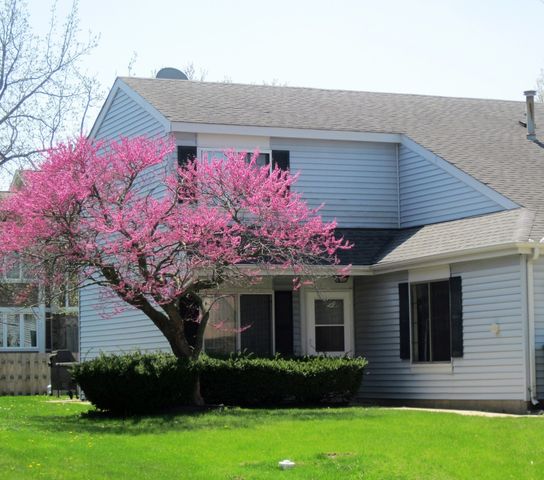 31 BUCKINGHAM Lane 31, Buffalo Grove, IL 60089