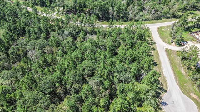 10711 Ruger Road, Willis, TX 77378