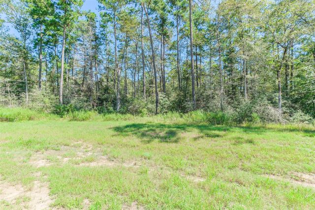 10711 Ruger Road, Willis, TX 77378