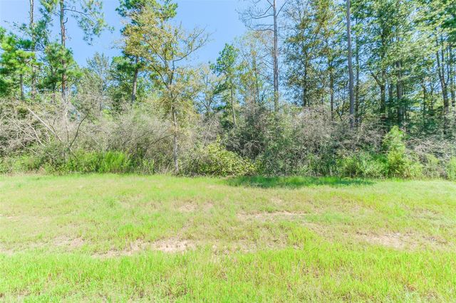 10711 Ruger Road, Willis, TX 77378