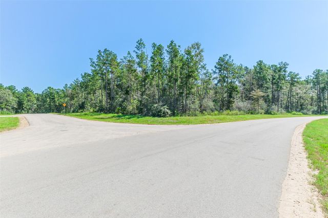 10711 Ruger Road, Willis, TX 77378