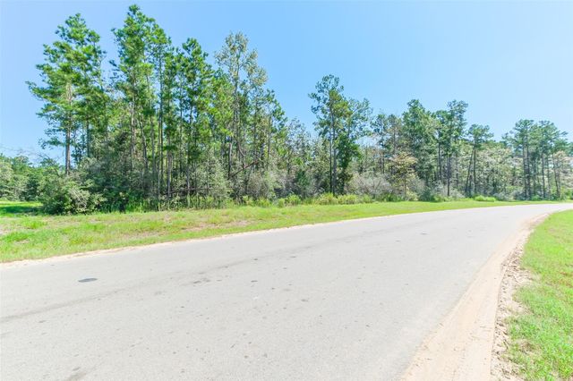 10711 Ruger Road, Willis, TX 77378