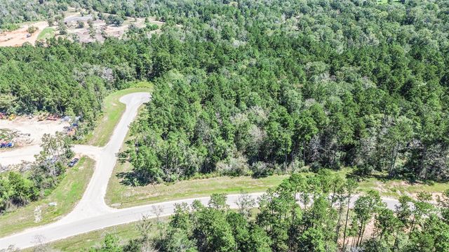 10711 Ruger Road, Willis, TX 77378