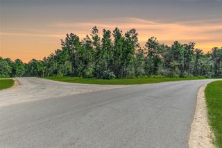 10711 Ruger Road, Willis, TX 77378