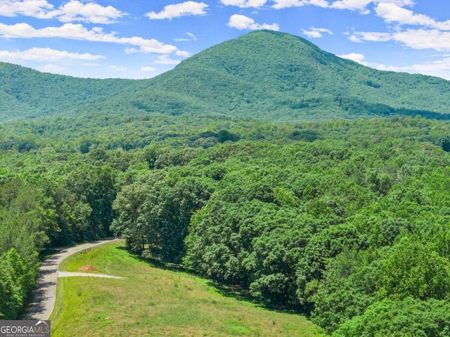 0 Arthur Allen Road, Cleveland, GA 30528