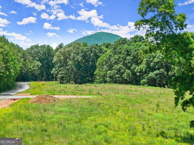 0 Arthur Allen Road, Cleveland, GA 30528