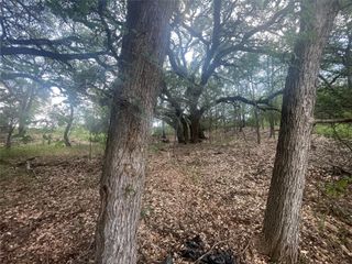 TBD Buffalo TRL, Kingsland, TX 78639
