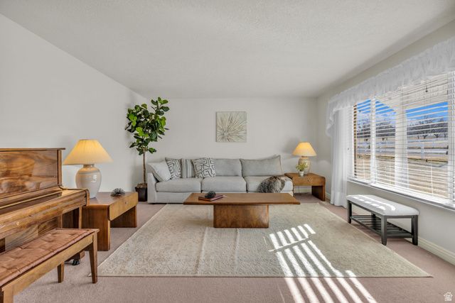 1060 W 2620 S, Mapleton, UT 84664