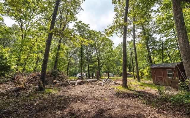 882 Wayne 459, Piedmont, MO 63957