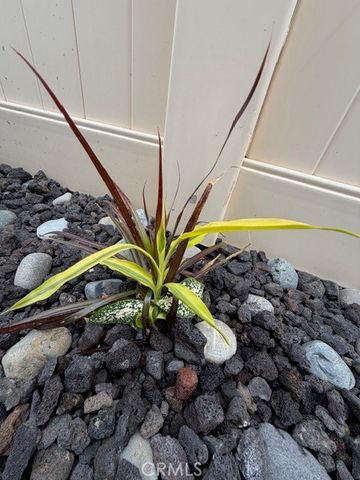 7664 Steamboat St, Riverside, CA 92507