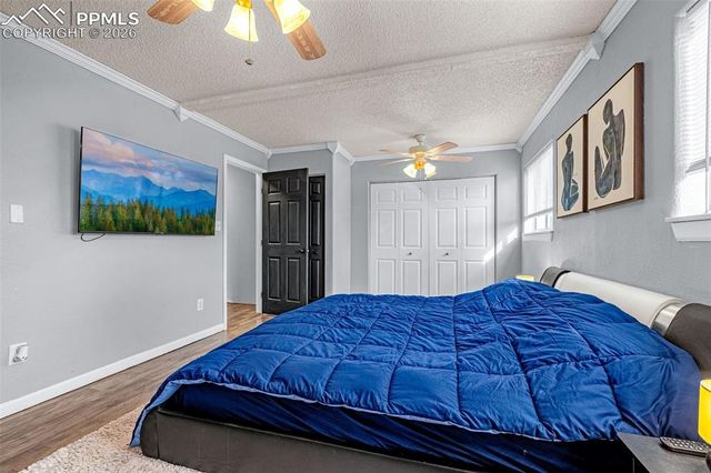 7317 Sullivan Circle, Colorado Springs, CO 80911