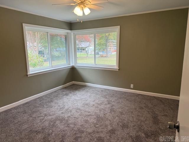 307 E 5th, Carlisle, AR 72024