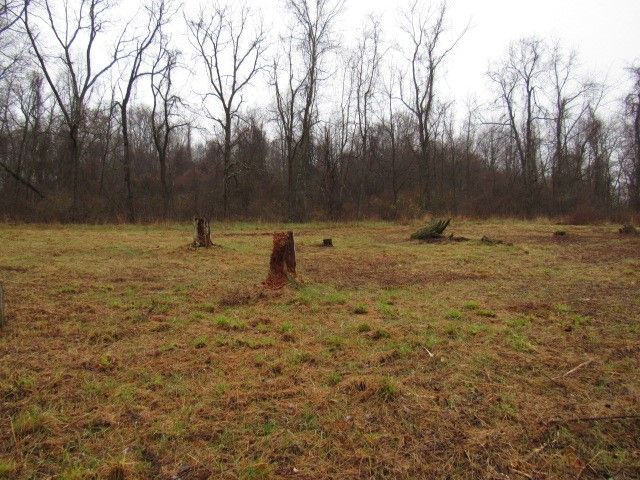 1047 Cinder Road, Dunbar Twp, PA 15431