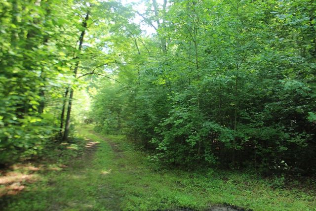 Lots 5,6 Slate Stone, Hayesville, NC 28904