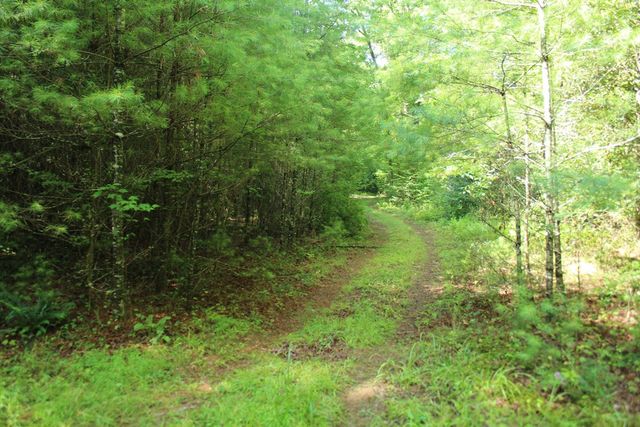 Lots 5,6 Slate Stone, Hayesville, NC 28904