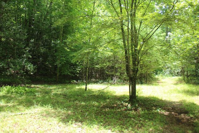 Lots 5,6 Slate Stone, Hayesville, NC 28904