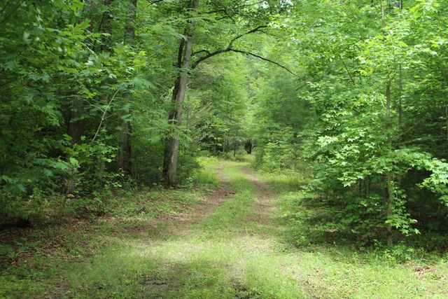 Lots 5,6 Slate Stone, Hayesville, NC 28904