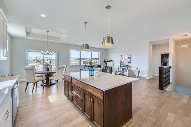 13822 Arrowhead Way, Rosemount, MN 55068