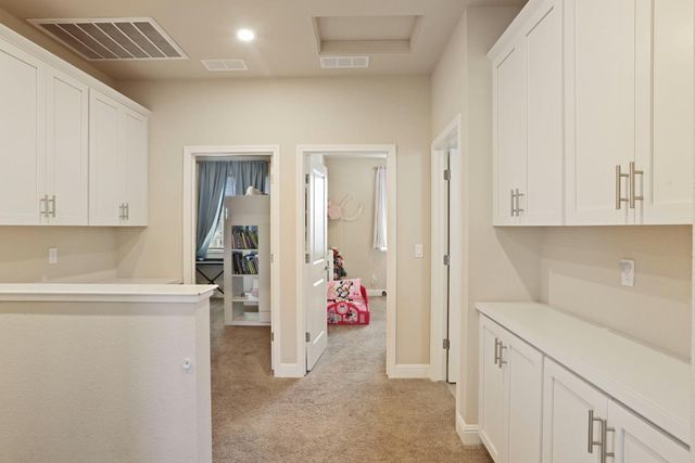 2905 Zinnia Way, Lodi, CA 95242