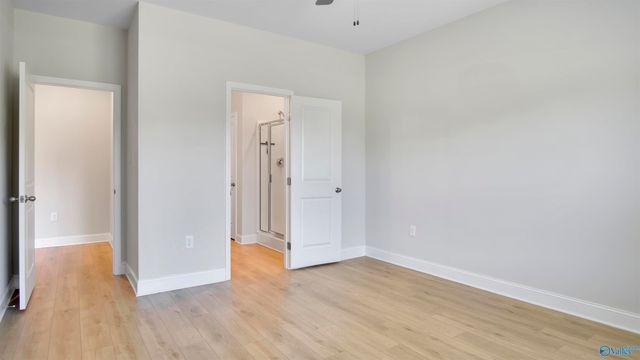 3217 Chestnut Court, Decatur, AL 35603