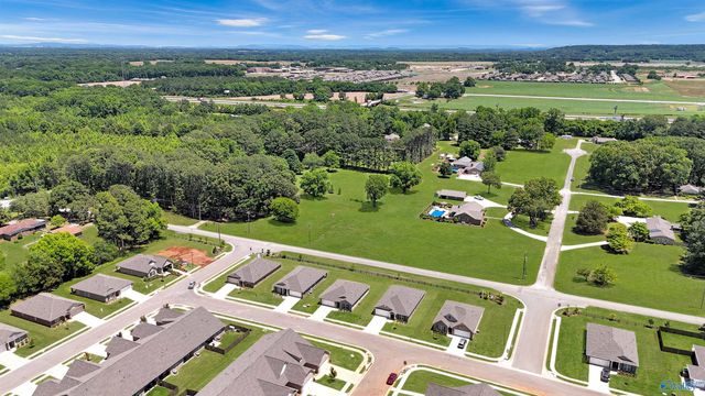 3217 Chestnut Court, Decatur, AL 35603