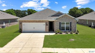 3217 Chestnut Court, Decatur, AL 35603