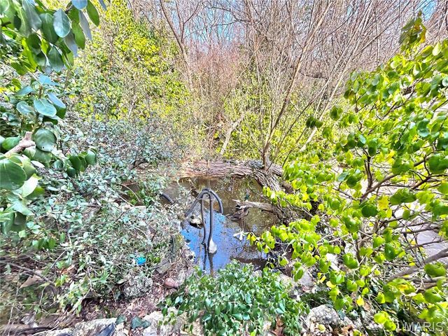 15303 E Highway 32, Boss, MO 65440