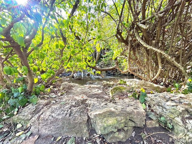 15303 E Highway 32, Boss, MO 65440