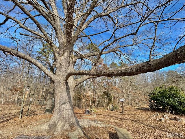 15303 E Highway 32, Boss, MO 65440