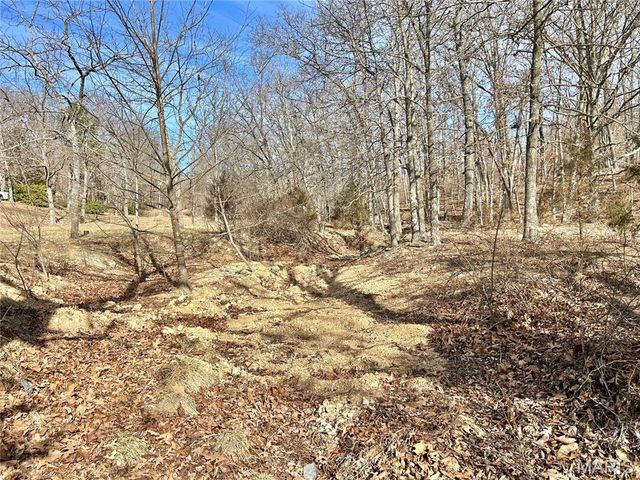 15303 E Highway 32, Boss, MO 65440