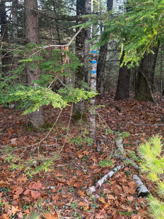 Lot 1-B 1 Sebago Road, Baldwin, ME 04029 — photo 5
