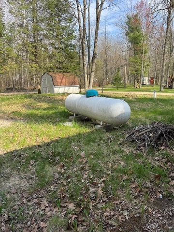 6246 Dorr, Falmouth, MI 49632