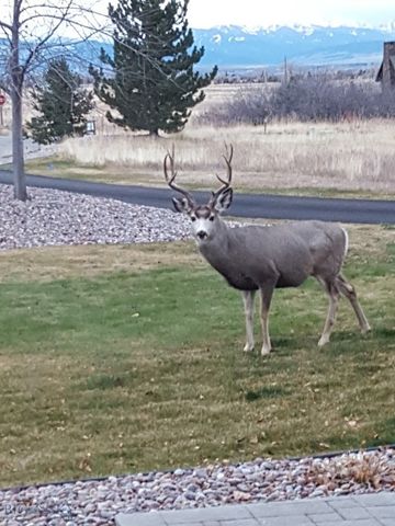 47 Saddle Spur, Bozeman, MT 59715