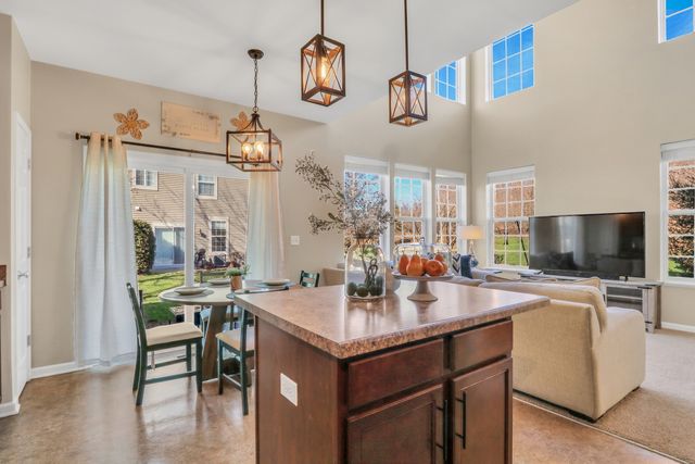 551 S Jade Lane 551, Round Lake, IL 60073