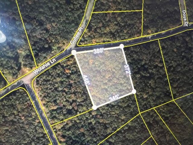 0 Wohalie 45&45a Lane, South Pittsburg, TN 37380