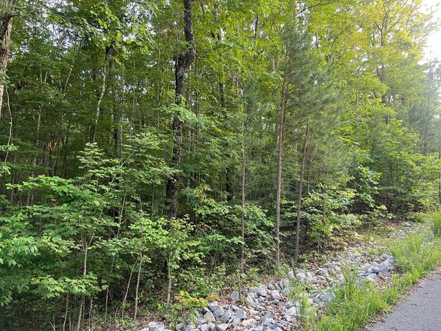 0 Wohalie 45&45a Lane, South Pittsburg, TN 37380