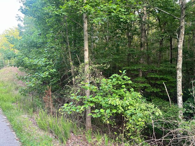 0 Wohalie 45&45a Lane, South Pittsburg, TN 37380