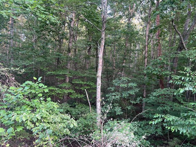 0 Wohalie 45&45a Lane, South Pittsburg, TN 37380