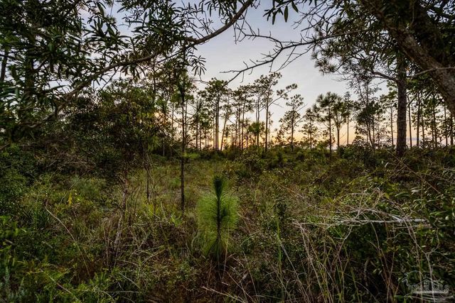 5400 North Shore Rd, Pensacola, FL 32507