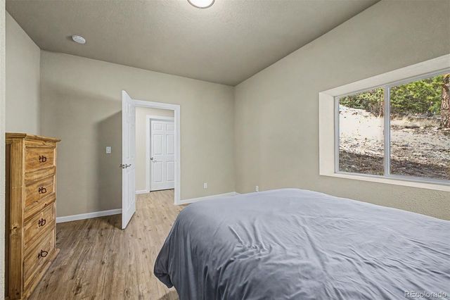 321 E Cline Drive, Shawnee, CO 80475