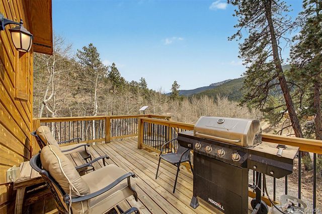321 E Cline Drive, Shawnee, CO 80475