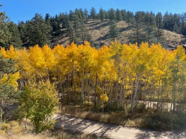 321 E Cline Drive, Shawnee, CO 80475